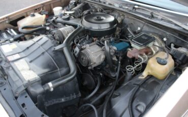 Chevrolet-El-Camino-1982-Pickup-Truck-35