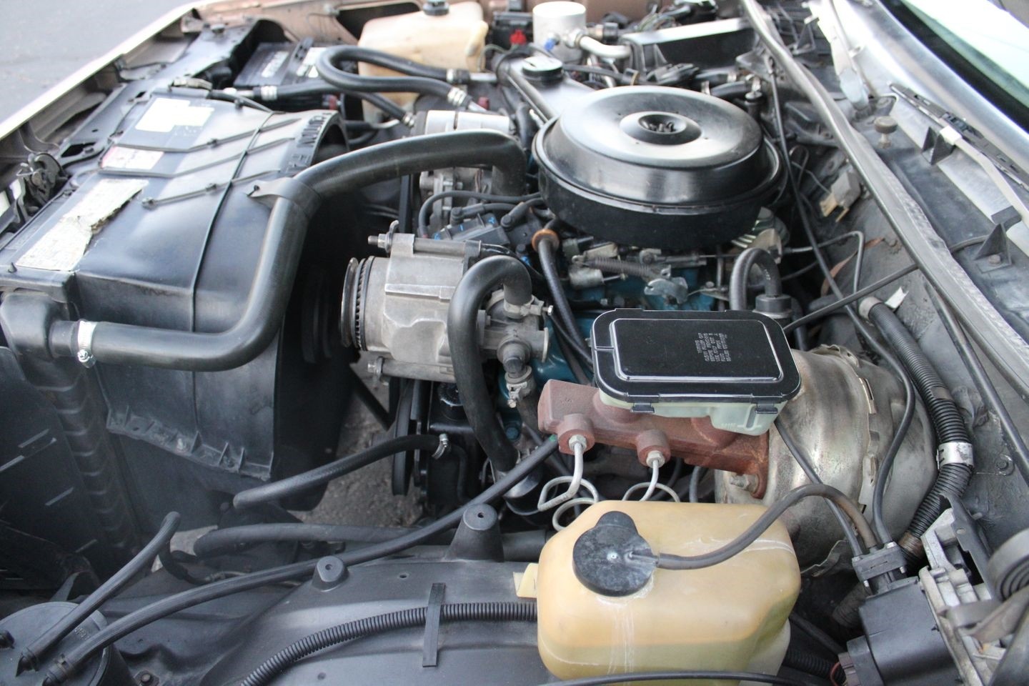 Chevrolet-El-Camino-1982-Pickup-Truck-36