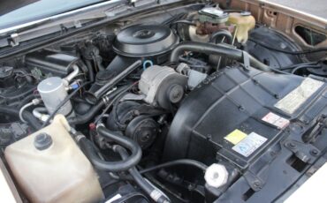 Chevrolet-El-Camino-1982-Pickup-Truck-37