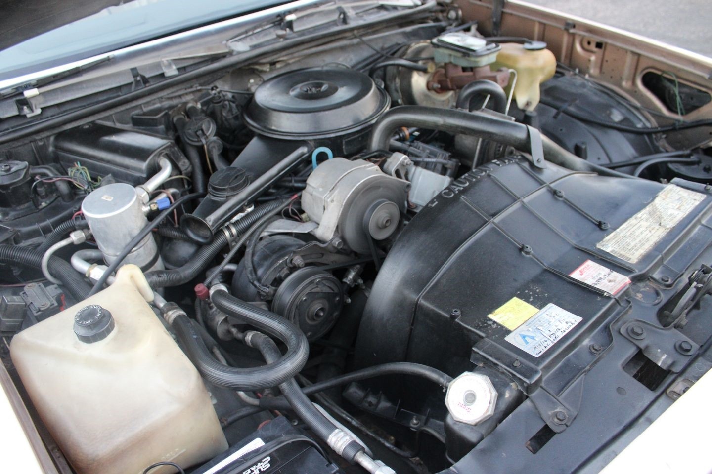 Chevrolet-El-Camino-1982-Pickup-Truck-37