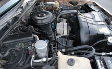 Chevrolet-El-Camino-1982-Pickup-Truck-38