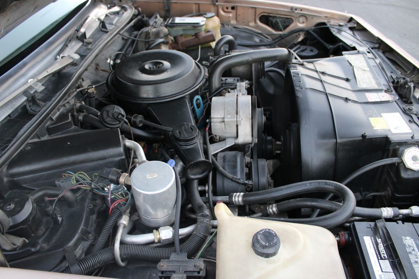 Chevrolet-El-Camino-1982-Pickup-Truck-38