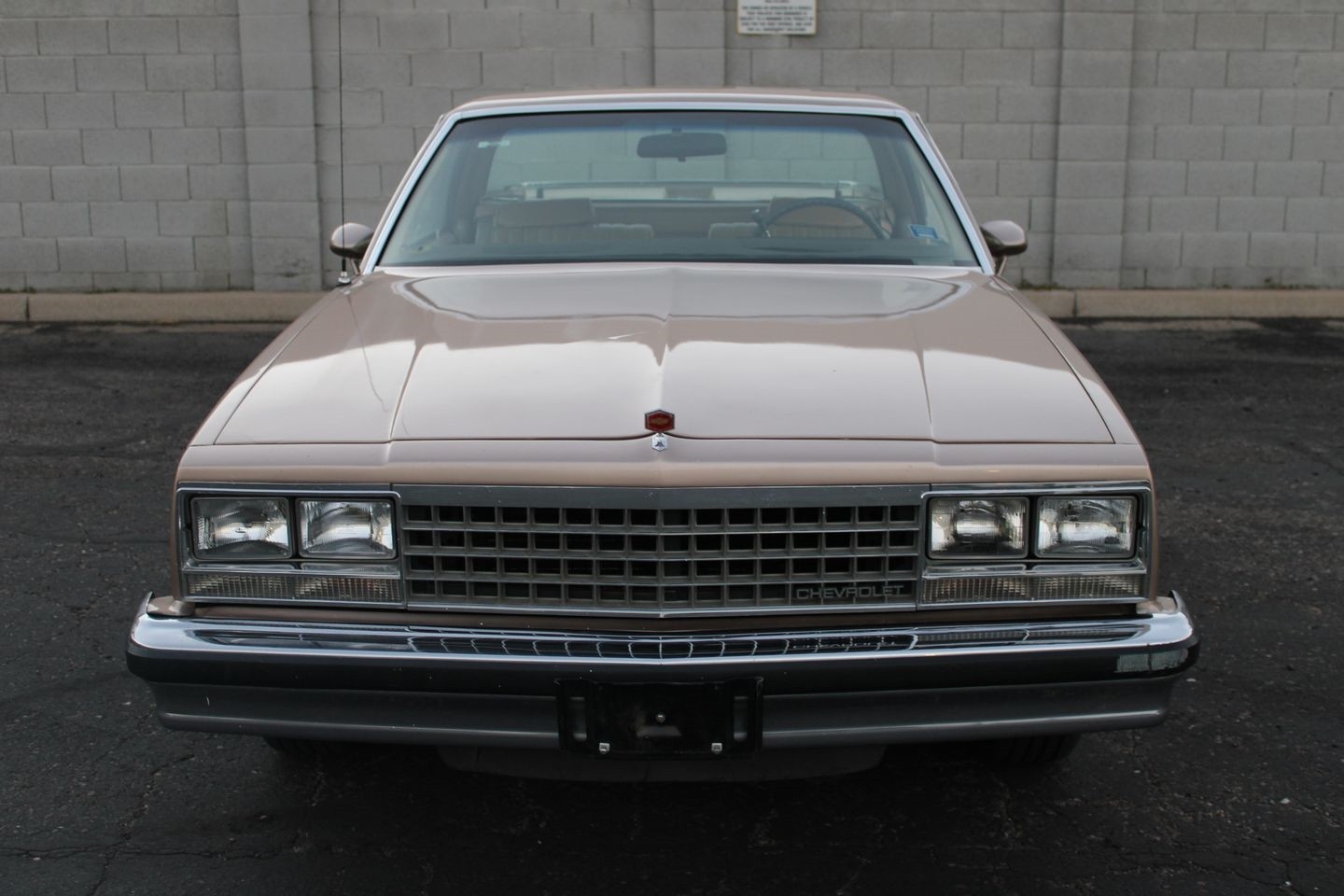 Chevrolet-El-Camino-1982-Pickup-Truck-8