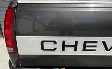 Chevrolet-Gmt-400-1992-Standard-Cab-Pickup-14