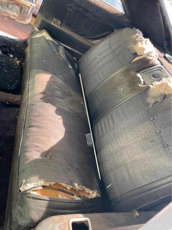 Chevrolet-Impala-1965-Coupe-4