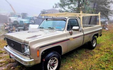 Chevrolet-K-20-1976-1