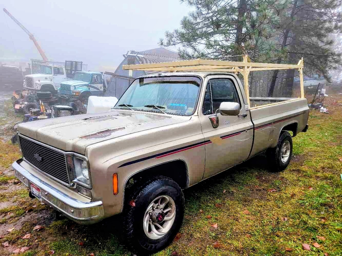 Chevrolet-K-20-1976-1