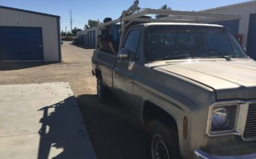 Chevrolet-K-20-1976-3