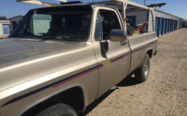 Chevrolet-K-20-1976-4