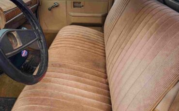 Chevrolet-K-20-1976-6