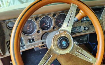 Chevrolet-Monte-Carlo-1972-Coupe-18