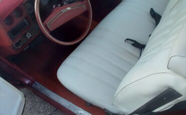 Chevrolet-Monte-Carlo-1977-Coupe-6