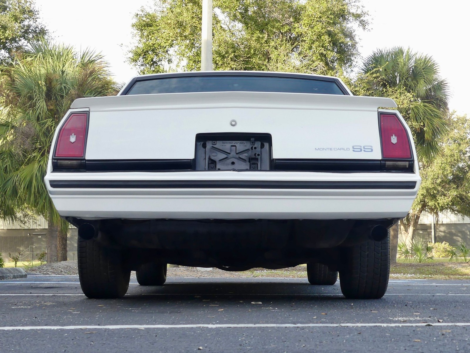 Chevrolet-Monte-Carlo-1984-Coupe-18