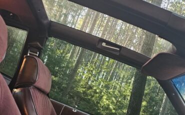 Chevrolet-Monte-Carlo-1986-Coupe-10