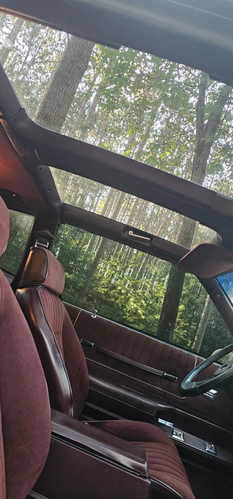 Chevrolet-Monte-Carlo-1986-Coupe-10