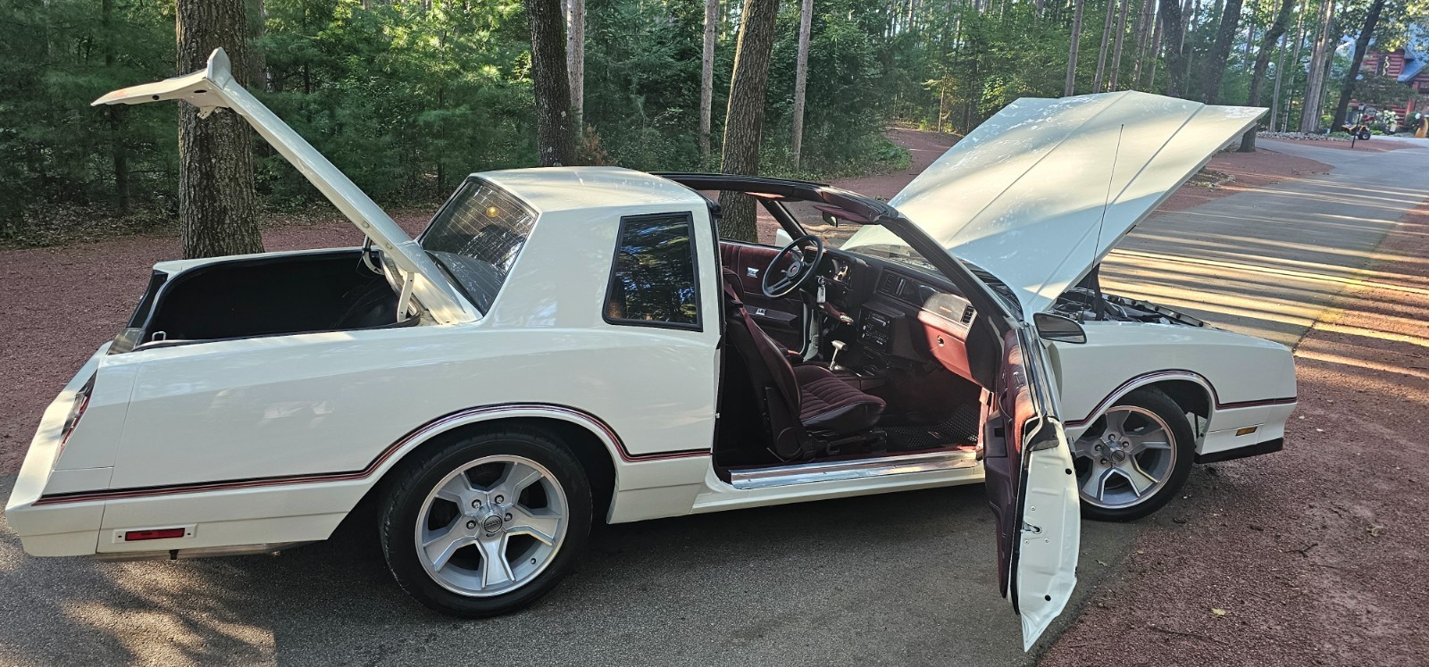 Chevrolet-Monte-Carlo-1986-Coupe-15