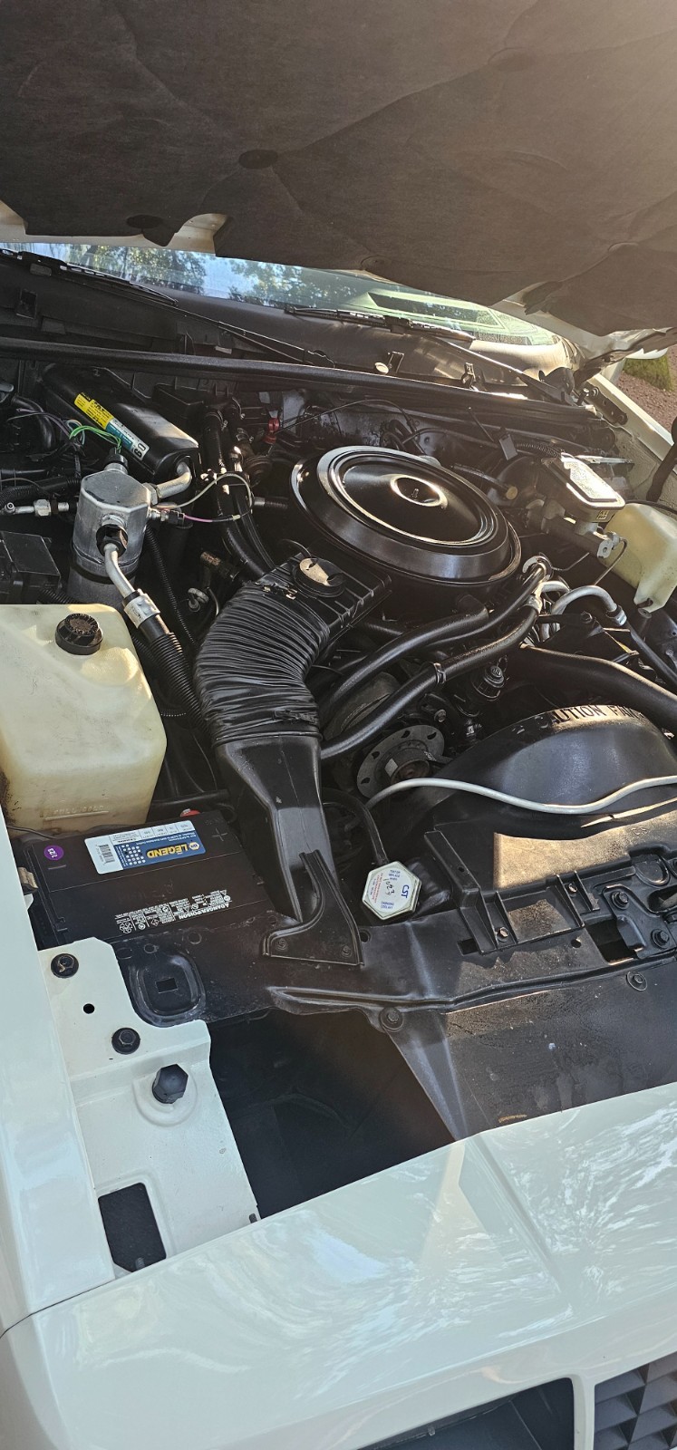 Chevrolet-Monte-Carlo-1986-Coupe-3