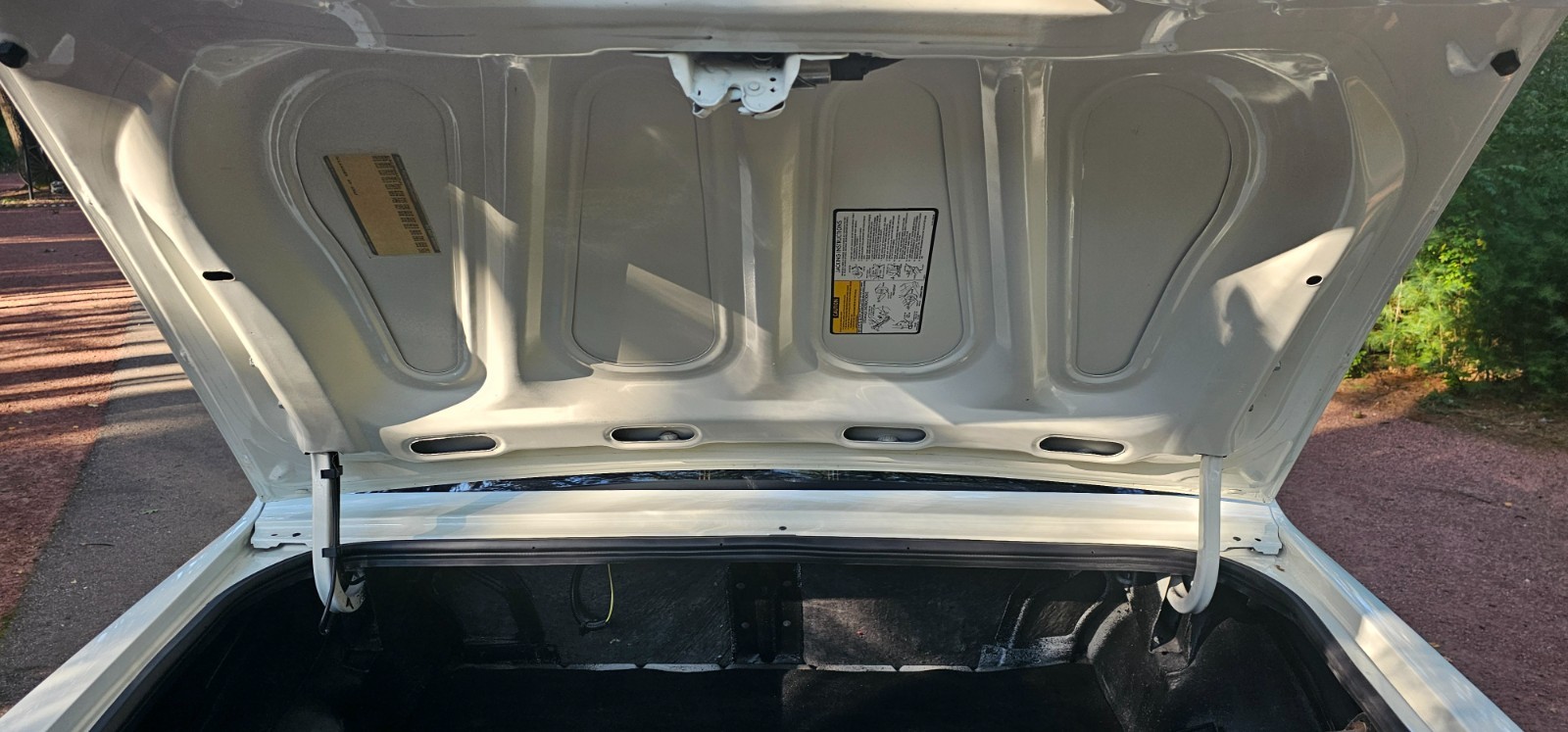 Chevrolet-Monte-Carlo-1986-Coupe-5