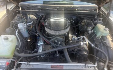 Chevrolet-Monte-Carlo-1987-13