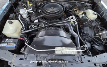 Chevrolet-Monte-Carlo-1987-29