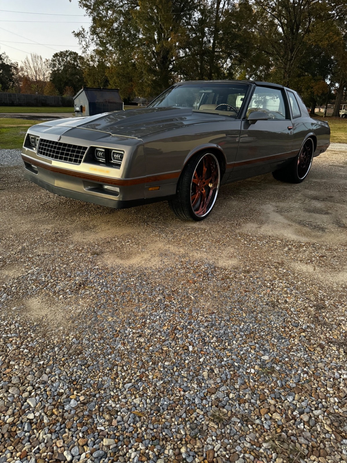 Chevrolet Monte Carlo 1988 Coupe
