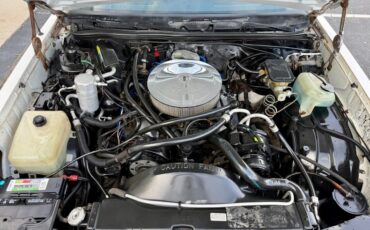 Chevrolet-Monte-carlo-1984-White-Dark-Blue-4