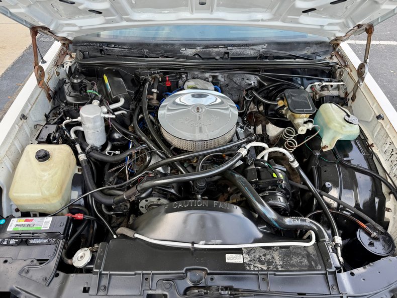 Chevrolet-Monte-carlo-1984-White-Dark-Blue-4