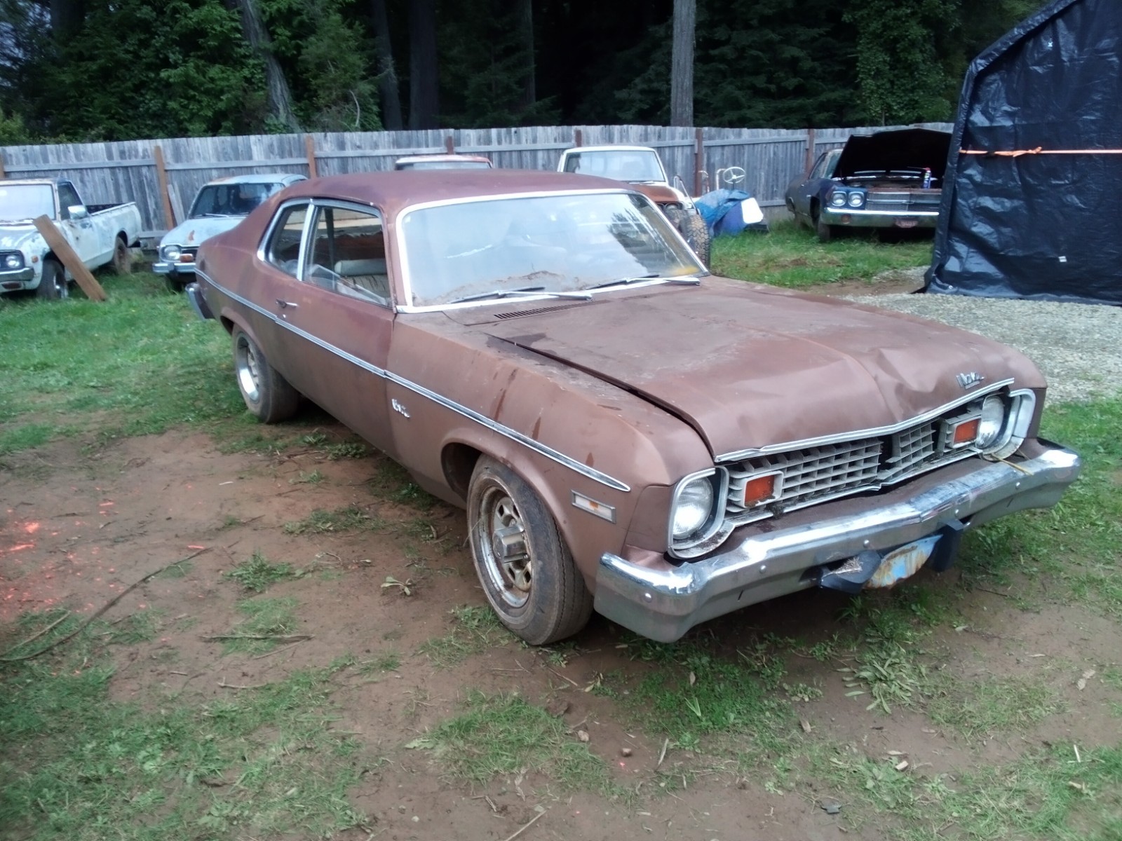 Chevrolet Nova 1974 Coupe