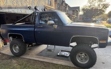 Chevrolet-Other-1987-Standard-Cab-Pickup-2