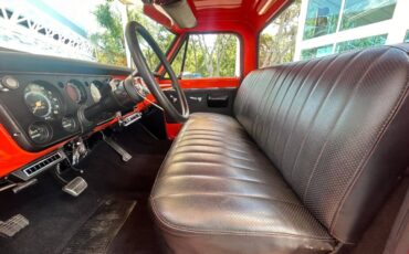 Chevrolet-Other-Pickups-1969-Pickup-Truck-13