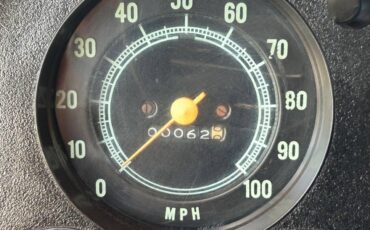 Chevrolet-Other-Pickups-1969-Pickup-Truck-19