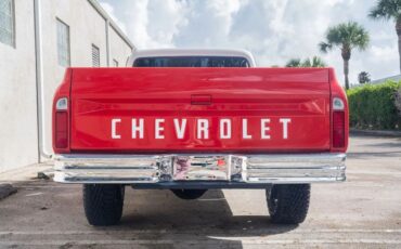 Chevrolet-Other-Pickups-1969-Pickup-Truck-9