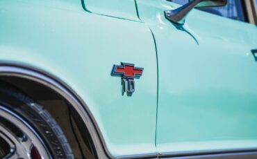 Chevrolet-Other-Pickups-1970-Truck-6