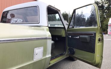 Chevrolet-Other-Pickups-1971-Standard-Cab-Pickup-13