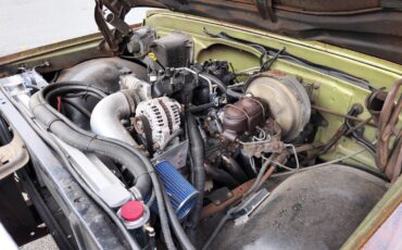 Chevrolet-Other-Pickups-1971-Standard-Cab-Pickup-18