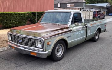 Chevrolet-Other-Pickups-1971-Standard-Cab-Pickup-3