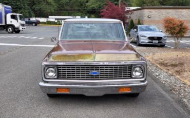 Chevrolet-Other-Pickups-1971-Standard-Cab-Pickup-4