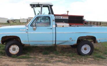 Chevrolet-Other-Pickups-1974-Standard-Cab-Pickup-1
