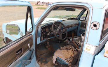 Chevrolet-Other-Pickups-1974-Standard-Cab-Pickup-10