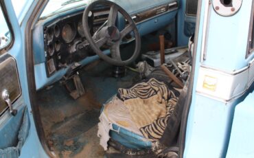 Chevrolet-Other-Pickups-1974-Standard-Cab-Pickup-11