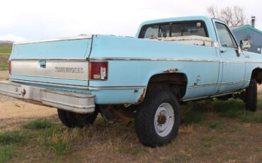 Chevrolet-Other-Pickups-1974-Standard-Cab-Pickup-12