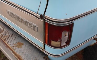 Chevrolet-Other-Pickups-1974-Standard-Cab-Pickup-13