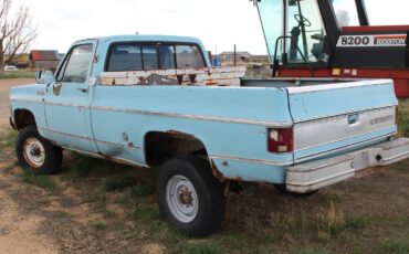 Chevrolet-Other-Pickups-1974-Standard-Cab-Pickup-2