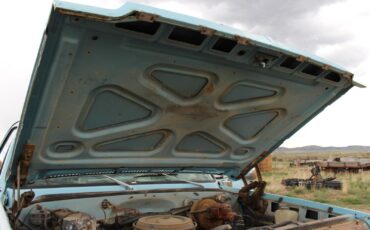 Chevrolet-Other-Pickups-1974-Standard-Cab-Pickup-24