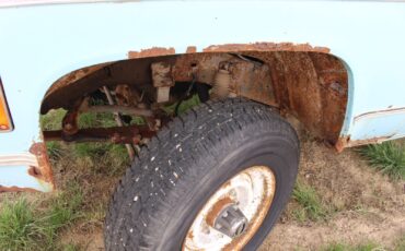 Chevrolet-Other-Pickups-1974-Standard-Cab-Pickup-6