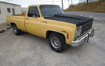 Chevrolet Other Pickups 1979 Standard Cab Pickup