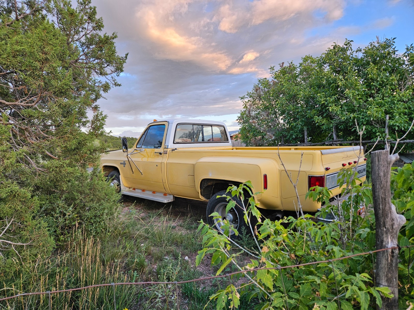 Chevrolet-Other-Pickups-1982-12