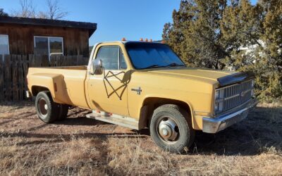 Chevrolet Other Pickups 1982