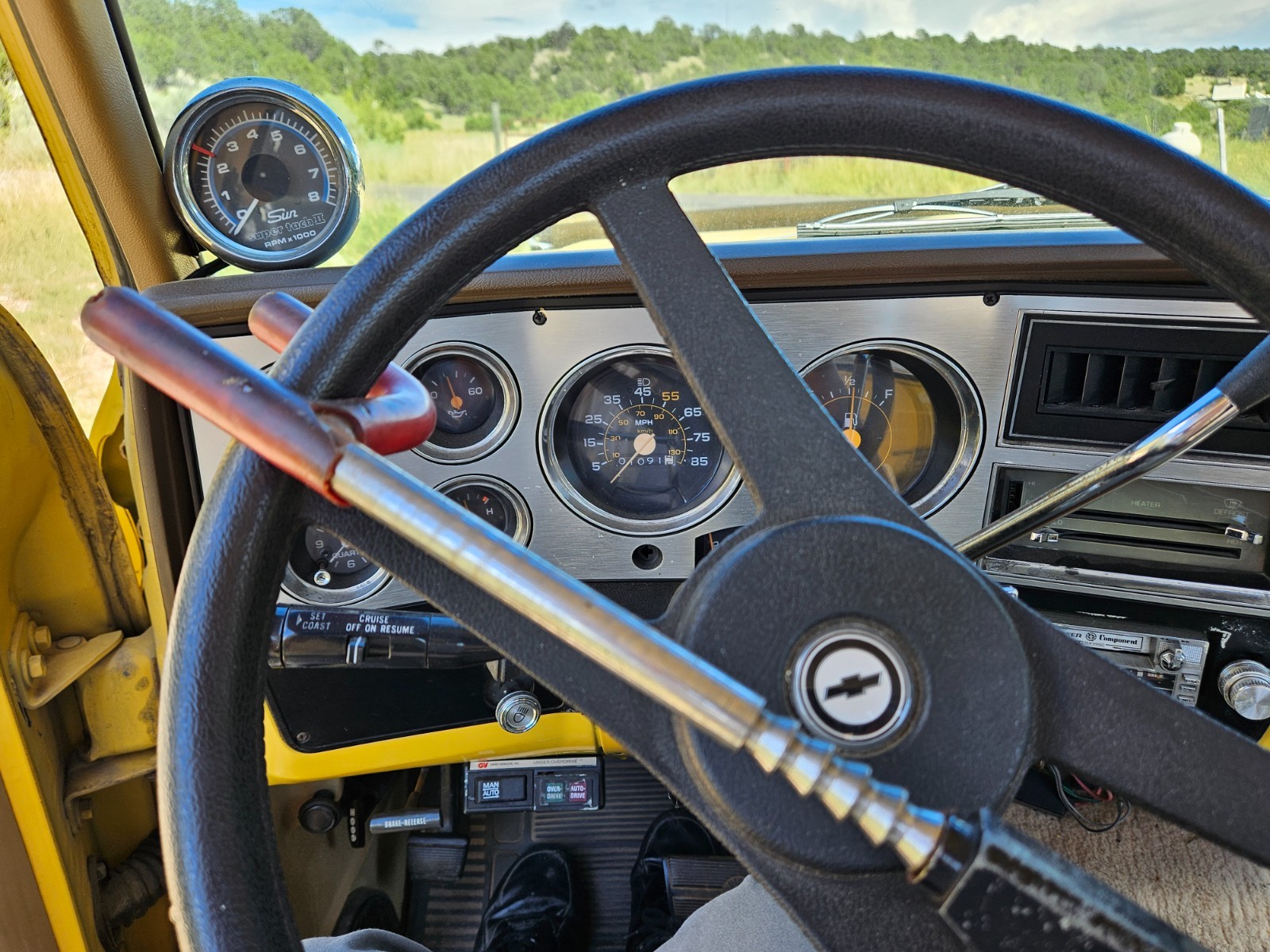 Chevrolet-Other-Pickups-1982-5