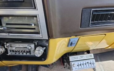 Chevrolet-Other-Pickups-1982-8